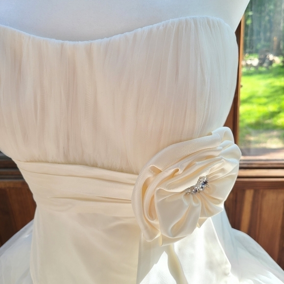 Galina Strapless Princess Wedding Gown with Floral Crystal Detail, Size Medium - Picture 8 of 8